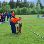 Bild_3