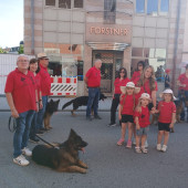 Bild_1