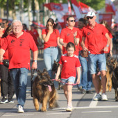 Bild_7