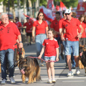 Bild_8