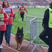 Bild_4