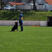 Bild_2