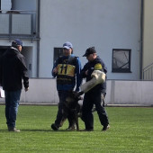 Bild_4