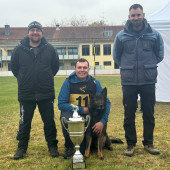 Bild_6