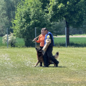 Bild_6