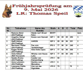 Bild_9_3