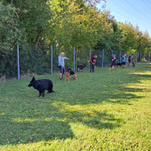 Bild_3
