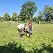 Bild_6