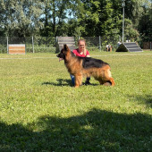 Bild_7